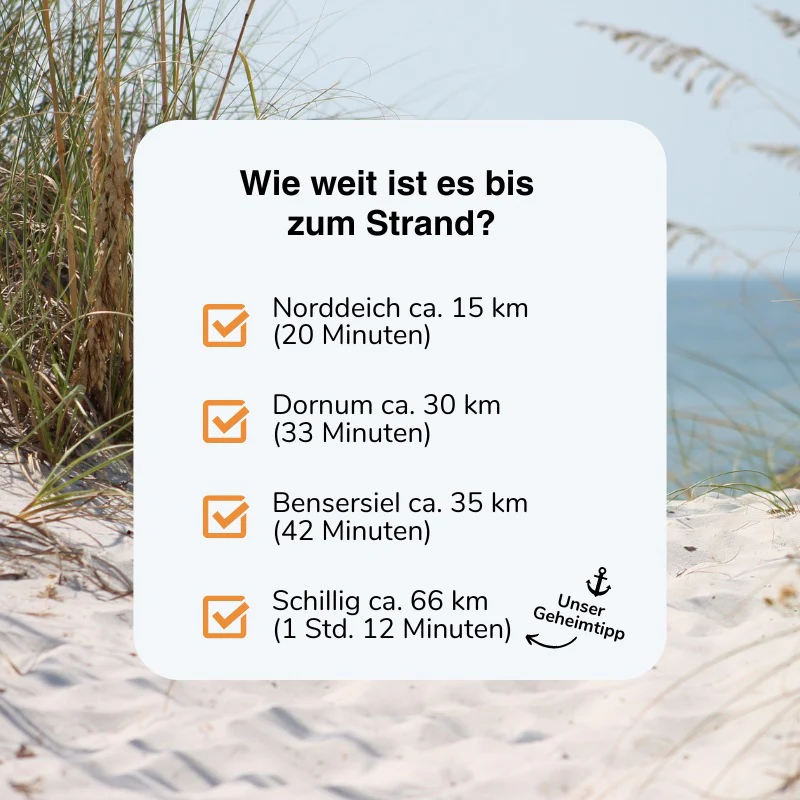 Vorschaubild 13