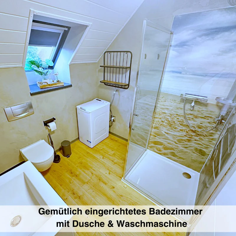 Vorschaubild 7