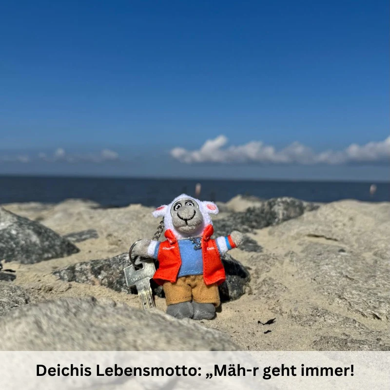 Vorschaubild 5