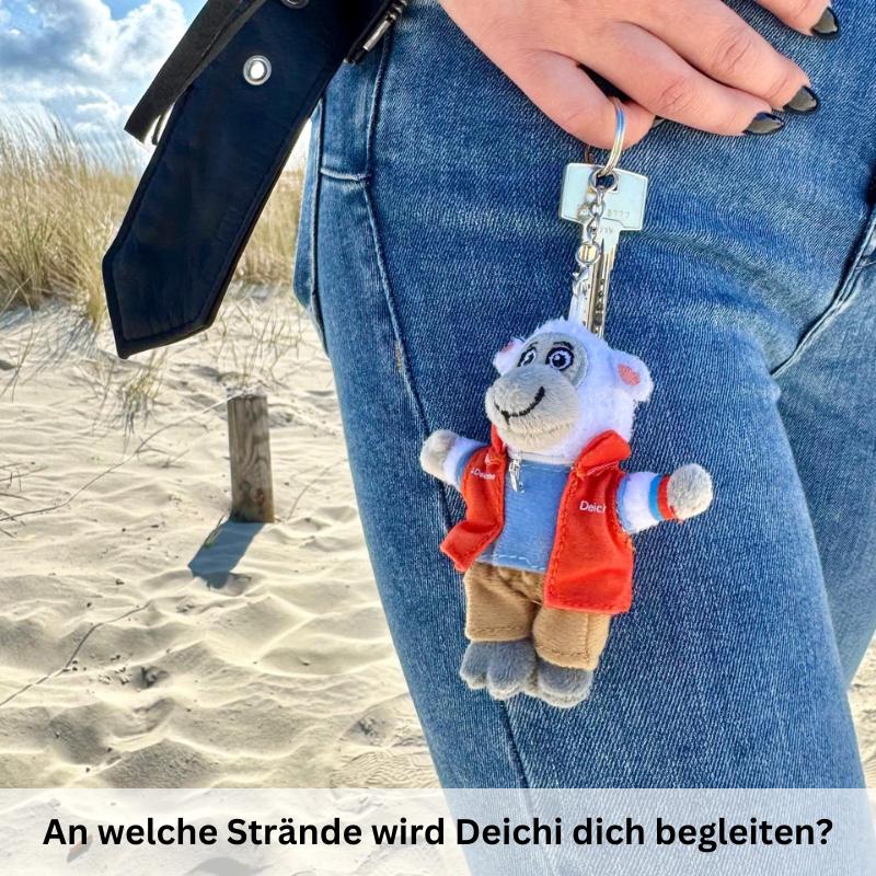Vorschaubild 6